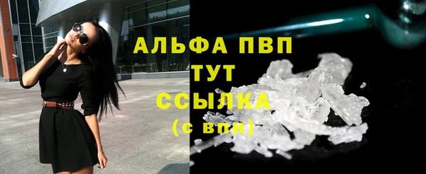 индика Мегион