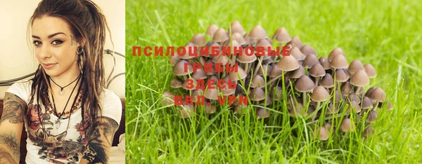 соль ск Аркадак